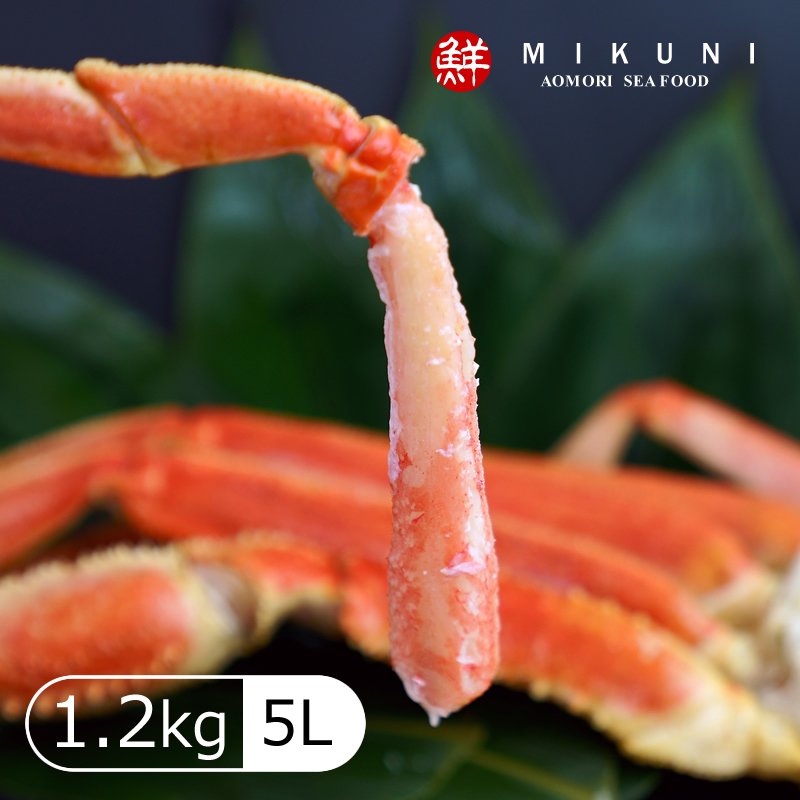 大特価！ズワイガニ脚３肩【約1.2～1.5kg：5Ｌ】セット