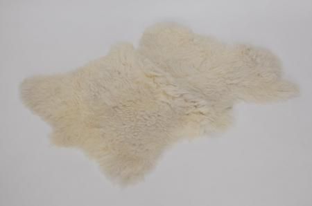 Sheep skinS19
