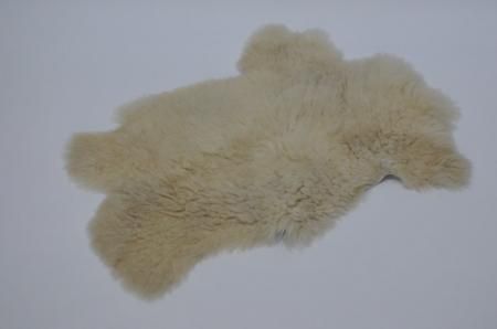 Sheep skin��S��21��