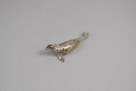 Craft - Kit ONLINE