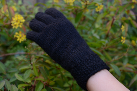 �и����� - ���ޡ�alpaca��