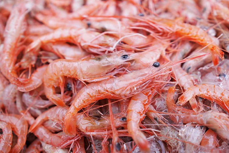 嶋富製菓のえびせんは、紀州箕島漁港で水揚げされた獲れたて新鮮なえびを使用しています。