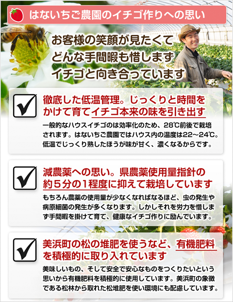 はないちご農園まりひめ説明画像