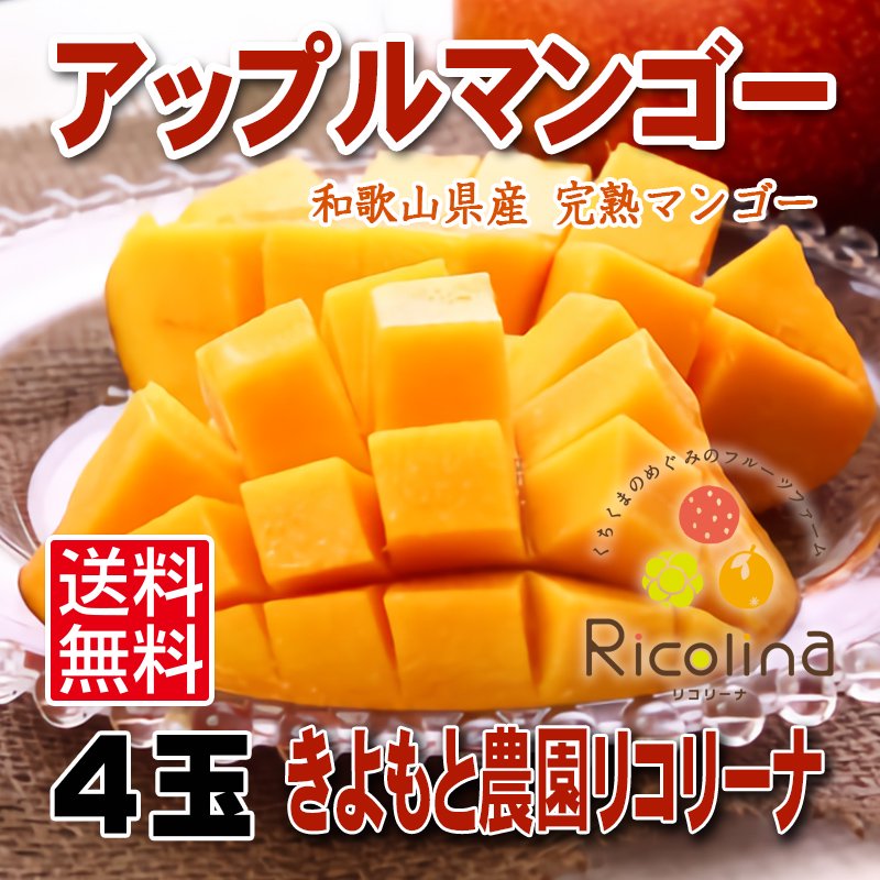 和歌山アップルマンゴー 4玉（1.2kg～1.8kg）｜きよもと農園