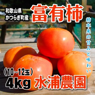富有柿 約4kg（10〜12玉入り）｜水浦農園（かつらぎ町）