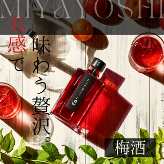 MIYAYOSHI No.03 380ml2ܥåȡõܹ-MIYAYOSHI-