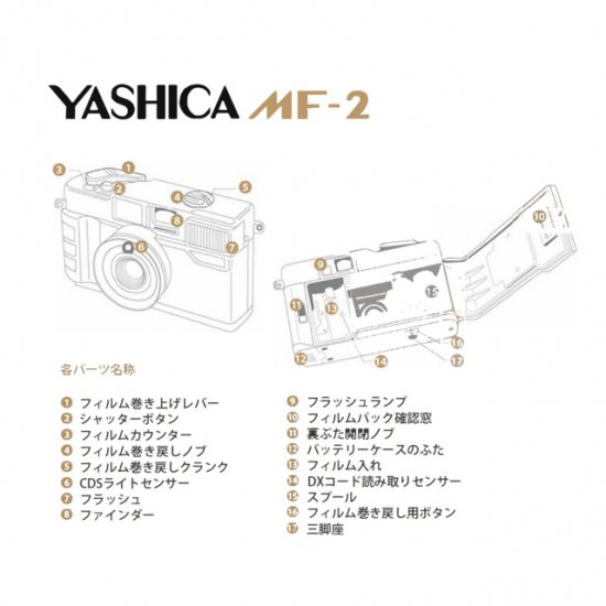 フィルムカメラ Yashica ヤシカ Mf 2 Super 復刻版 写真 雑貨通販 オンラインストア コイデカメラ