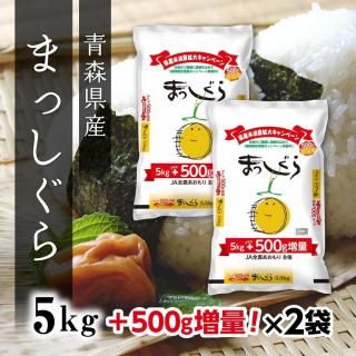 Ŀޤä 5kg2ޡڤʥåȾʡ