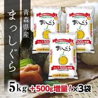 Ŀޤä 5kg3ޡڤʥåȾʡ