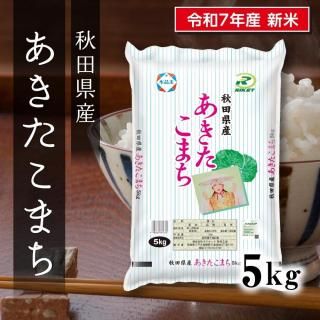 7ǯ  ĸޤ 5kg1<img class='new_mark_img2' src='https://img.shop-pro.jp/img/new/icons6.gif' style='border:none;display:inline;margin:0px;padding:0px;width:auto;' />