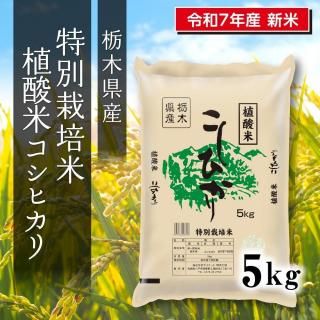 7ǯ  ̺ ڸҥ 5kg1<img class='new_mark_img2' src='https://img.shop-pro.jp/img/new/icons6.gif' style='border:none;display:inline;margin:0px;padding:0px;width:auto;' />