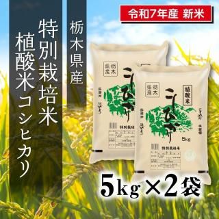 7ǯ  ̺ ڸҥ 5kg2ޡڤʥåȾʡ<img class='new_mark_img2' src='https://img.shop-pro.jp/img/new/icons6.gif' style='border:none;display:inline;margin:0px;padding:0px;width:auto;' />