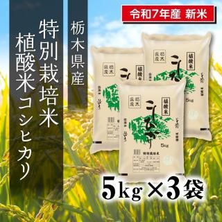 7ǯ  ̺ ڸҥ 5kg3ޡڤʥåȾʡ<img class='new_mark_img2' src='https://img.shop-pro.jp/img/new/icons6.gif' style='border:none;display:inline;margin:0px;padding:0px;width:auto;' />