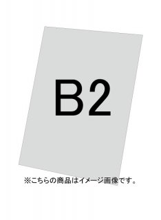 VASKѥʣ()3mm B2