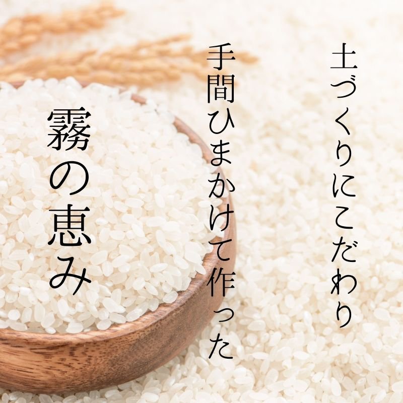 令和4年 兵庫県丹波産 無農薬コシヒカリ15キロ - 食品