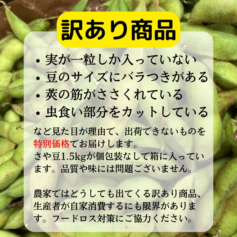 配達日指定不可】 ▽訳あり商品▽ 丹波産黒枝豆 さや 1.5kg - 丹波産