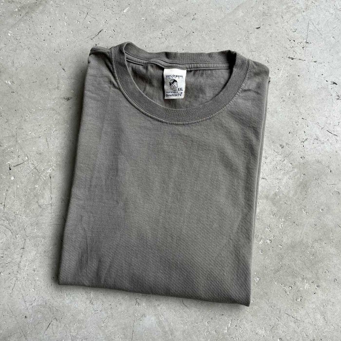 Patagonia ORGANIC COTTON S/S T-SHIRT(Almost DEADSTOCK)