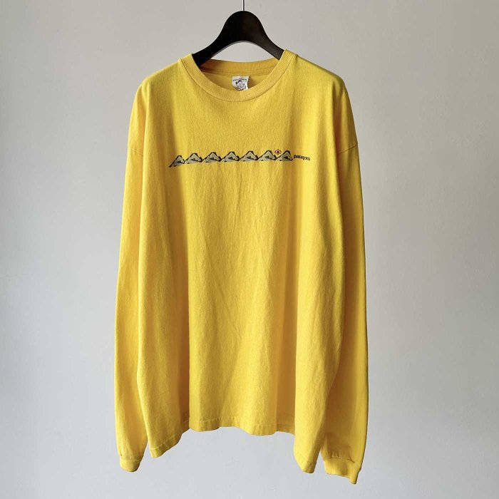 Patagonia COTTON L/S T-SHIRT(NICE COLOR)