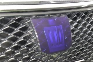 210 クラウン 後期 グリル 上側 エンブレム 210 クラウン 後期 グリル 上側 エンブレム クラウンアスリート210系