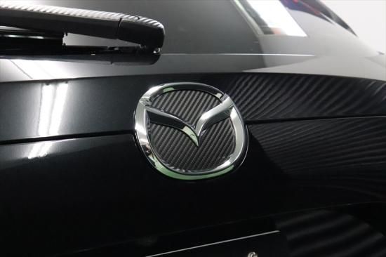 EMP ケラリア ピグマエア / CX156