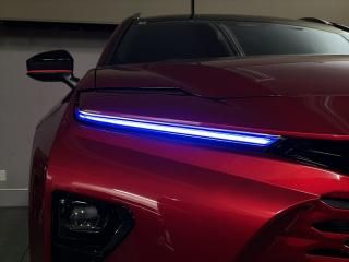 クラウンエステート デイライトフィルム