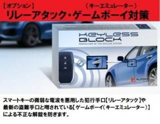 饦󥨥ơ ǥ륤ӥ饤 IGLA ALARMʥ饢顼