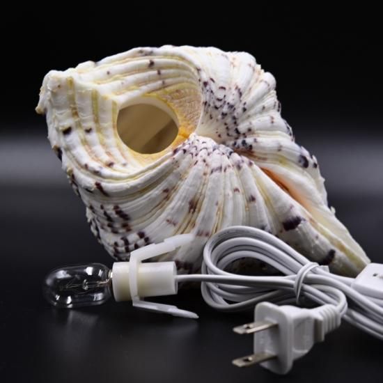 シャコ貝ランプ ビスターリ.石垣島 ハンドメイドアクセサリー