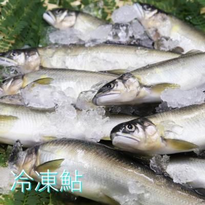 ڵܺ껺ľ۰Į֤λా1kg