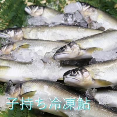 ڵܺ껺ľ۰Į֤λ׻һా1kg