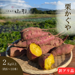 ͽ󳫻 ܰʹ߽缡ȯۻ¼Ĥޤ⡡䡡KgꡡݴԻ