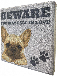 ʿĥ֥åBEWARE YOU MAY FALL IN LOVE