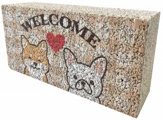 󤳡ʸˤWelcome󥬥֥å