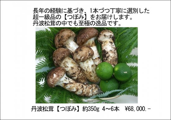 丹波松茸[つぼみ]約350g
