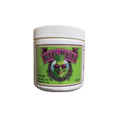 Big Bud Powder 500g