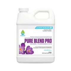 Pure Blend Pro Bloom 960ml