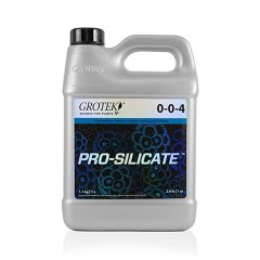 Pro-Silicate 1L