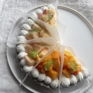 <img class='new_mark_img1' src='https://img.shop-pro.jp/img/new/icons1.gif' style='border:none;display:inline;margin:0px;padding:0px;width:auto;' />-TRUNK   New!   Υɥ