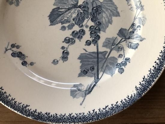 フランス/サルグミンヌ(SARREGUEMINES)CROSEILLES平皿