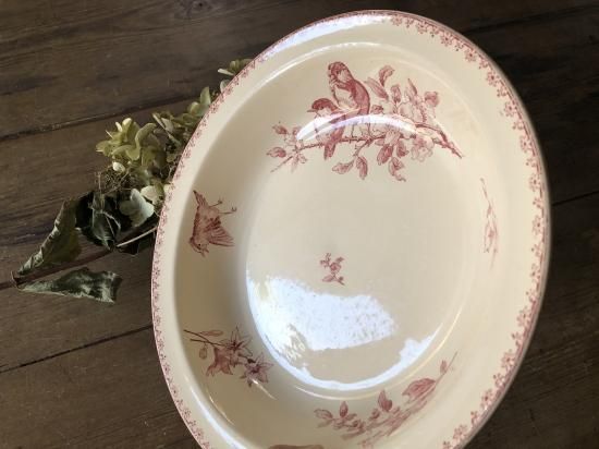 フランス/サルグミンヌ(SARREGUEMINES) ファヴォリ（FAVORI