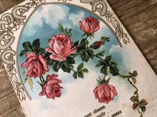 ե/20/꤬Ūʥԥ󥯤ΥХΥݥȥ/ֹE49/25