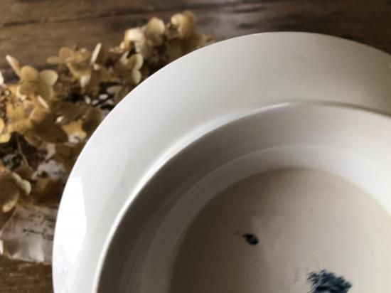 フランスアンティークプレートLONGWY リボンガーランドmanonお皿ロンウィ フランス/ロンウィー（LONGWY)MANONリボンガーランドのコンポ