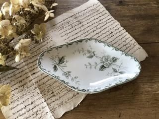 ե/󥿥ޥ(Saint-Amand)å(ROSETTE)ʥХΥB/ֹF916/7