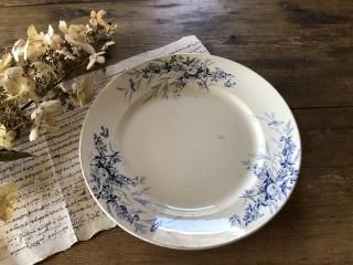 ե/쥤桦ȥCreilet Montereau)LINOTTE(Υå)ľ28cm礭ʤB/ֹF916/28