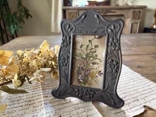 ե/20/̡ʲ֤Υեȥ/ֹF1116/4