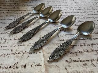 ǥ/(EXALP˲֤ΥСס/ֹF1116/5