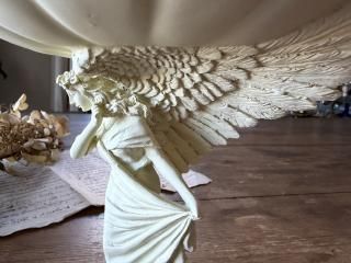 �ݲ翧��ŷ�ȤΥ���ݡ���/�����ֹ�F127/11