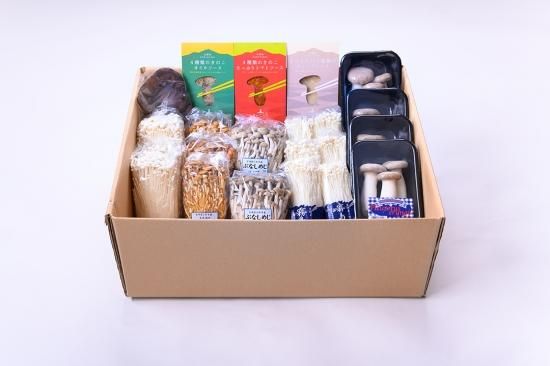 きのこ様　GA 光の空間１・２ きのこ様 GA 光の空間1・2 SuperSimpleShit53/01『キノコ