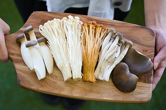 5種のきのこ炊き込みご飯の素 - 玉光園 オンラインショップ