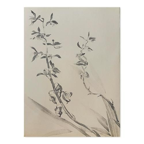 台湾画家MissHerHerの作品 台湾画家MissHerHerの作品