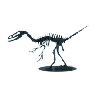 3Dペーパーモデル ダイナソー“Dromaeosaurus ドロマエオサウルス”